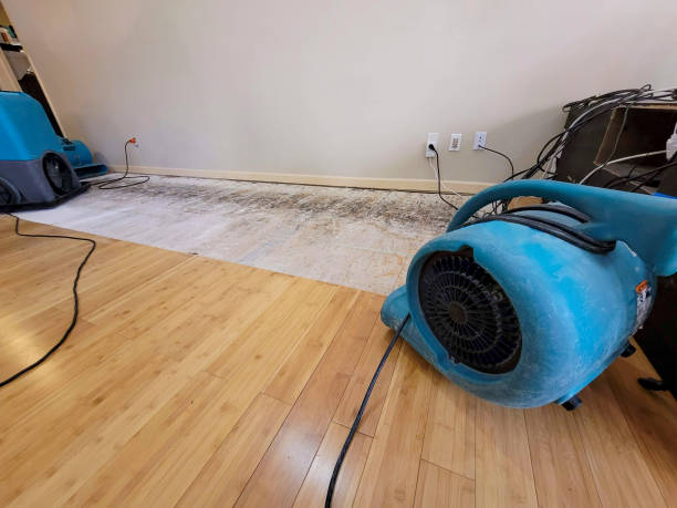 Professional Basement Flood Cleanup technician working in Portland, TN